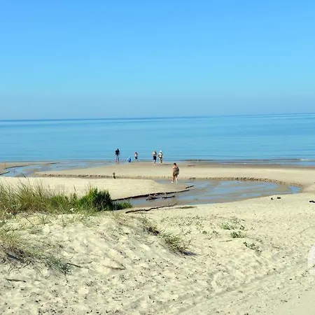 Optimistas * Palanga