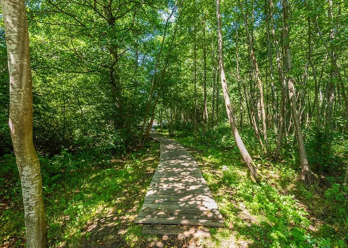 Optimistas * بالانغا