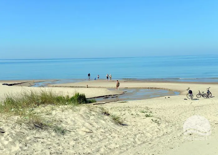 Optimistas * بالانغا